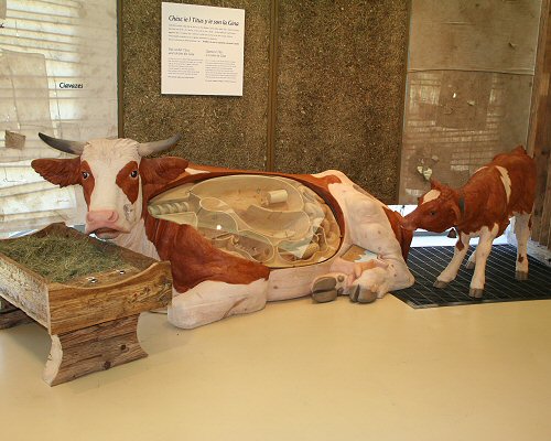 GHERDEINA LAT